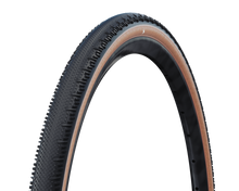 SCHWALBE